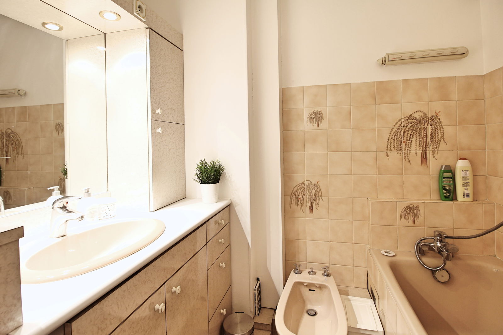 Colocation Paris 222889