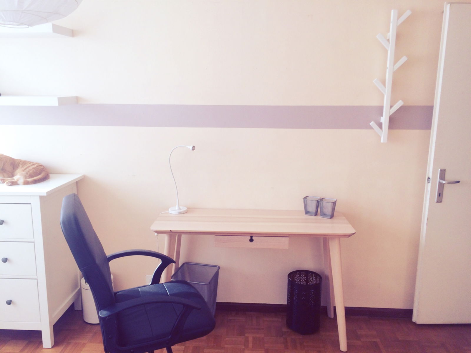 Homestay Genève 146443