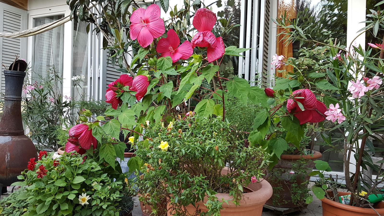 Homestay Chavannes-des-Bois 231826