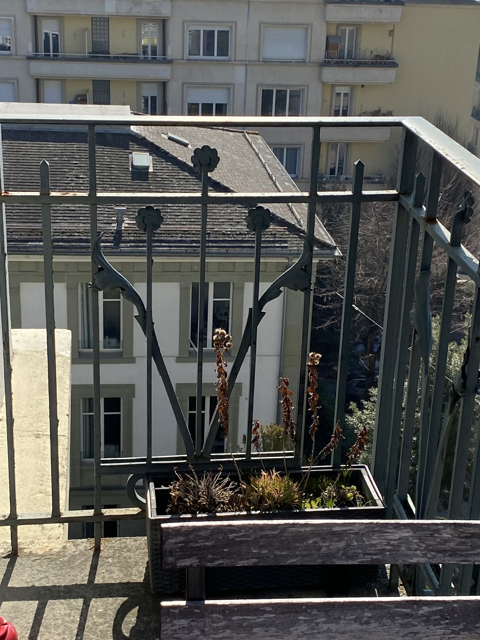 Colocation Lausanne 264512