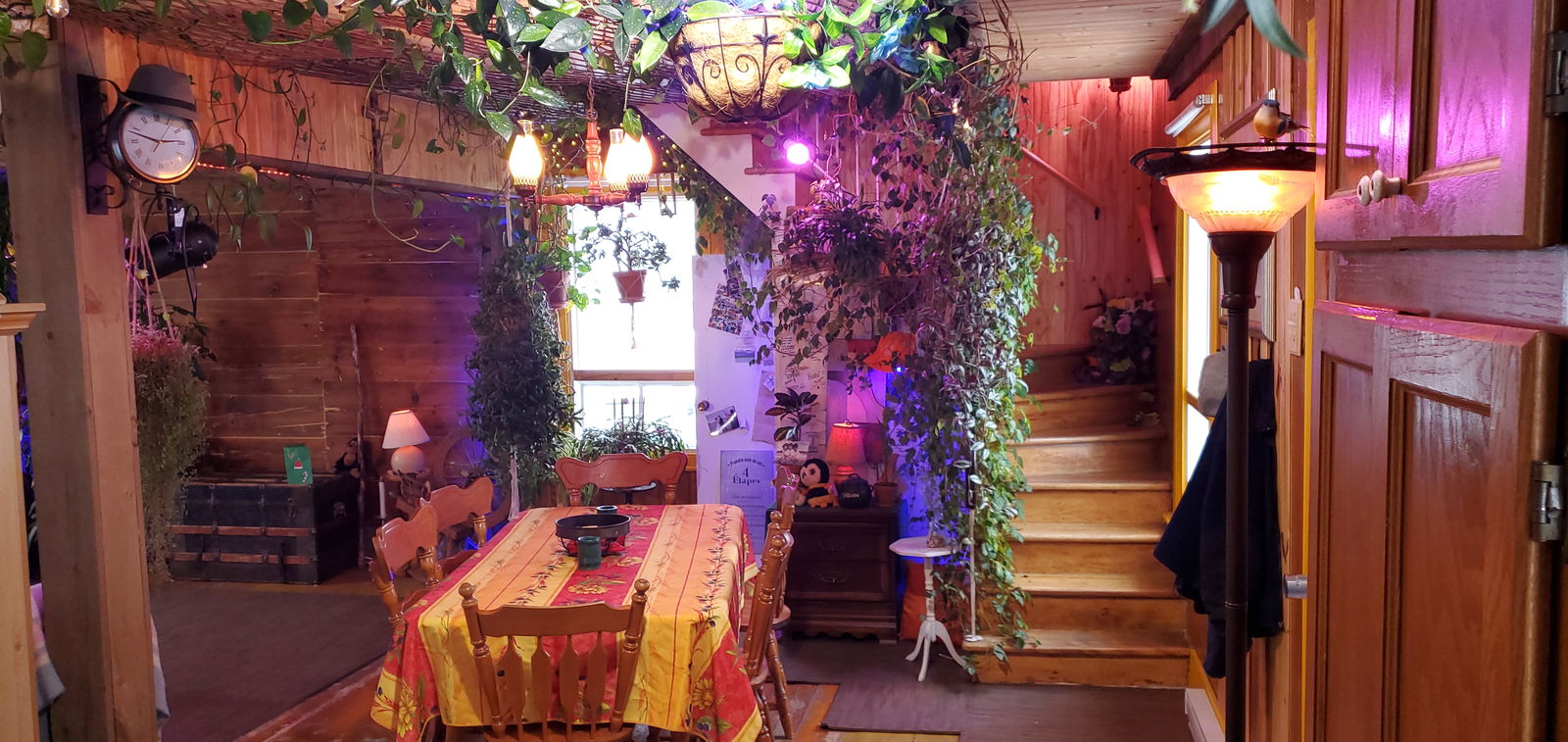 Homestay Lévis 525577