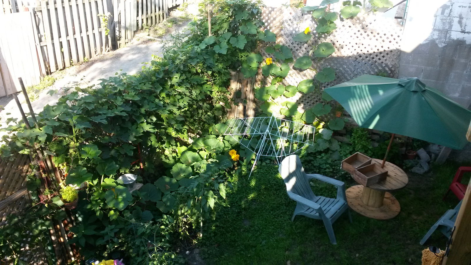 Independent Studio Montréal 200156