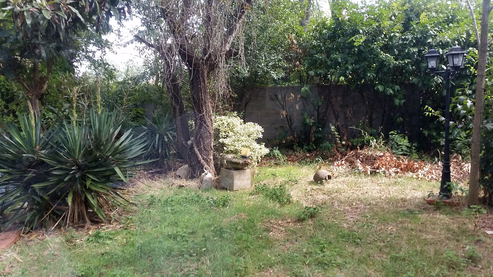 Colocation Tournefeuille 210081