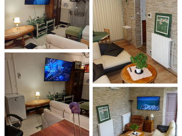 Colocation Tournefeuille 210081-13