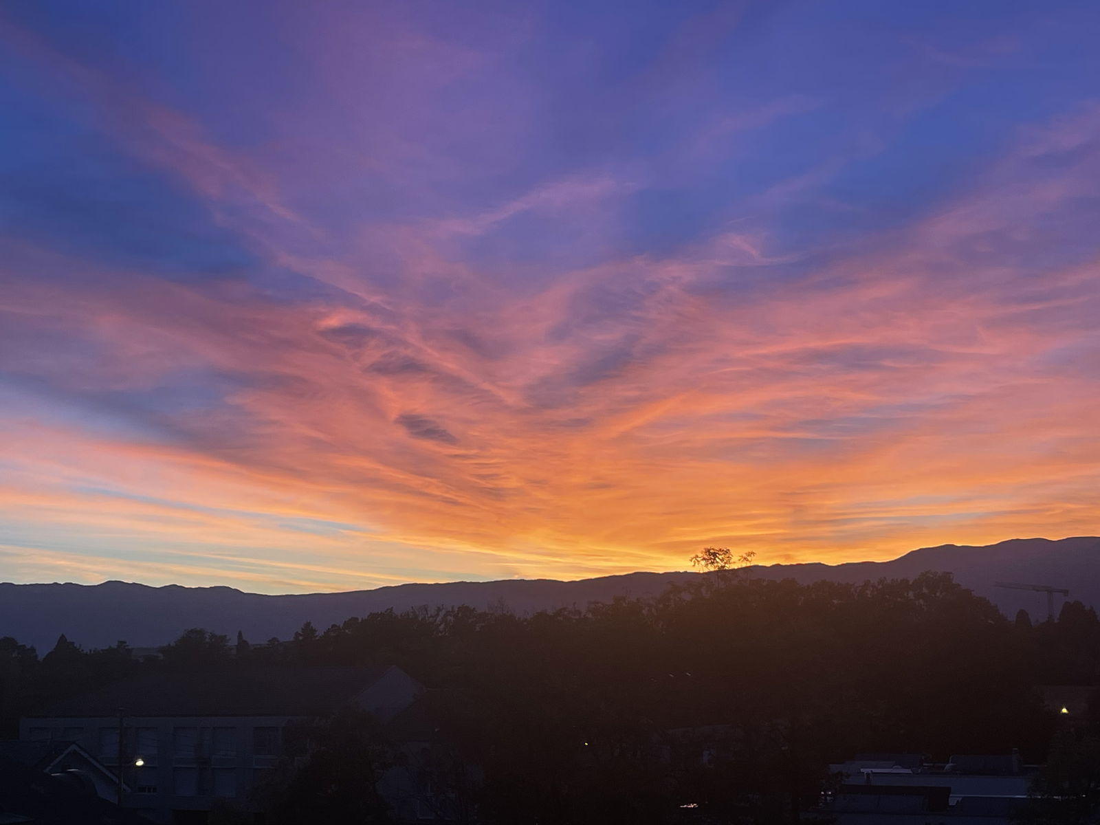 Homestay Vessy 260301