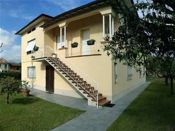 Habitación En Alquiler Lucca 176231-1