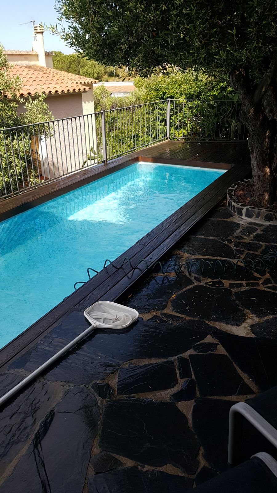 Homestay Roses 167560