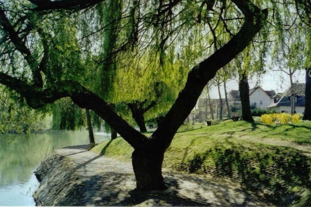 Entire Home Saint-Maur-des-Fossés 114530