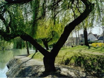 Logement Entier Saint-Maur-Des-Fossés 114530-4