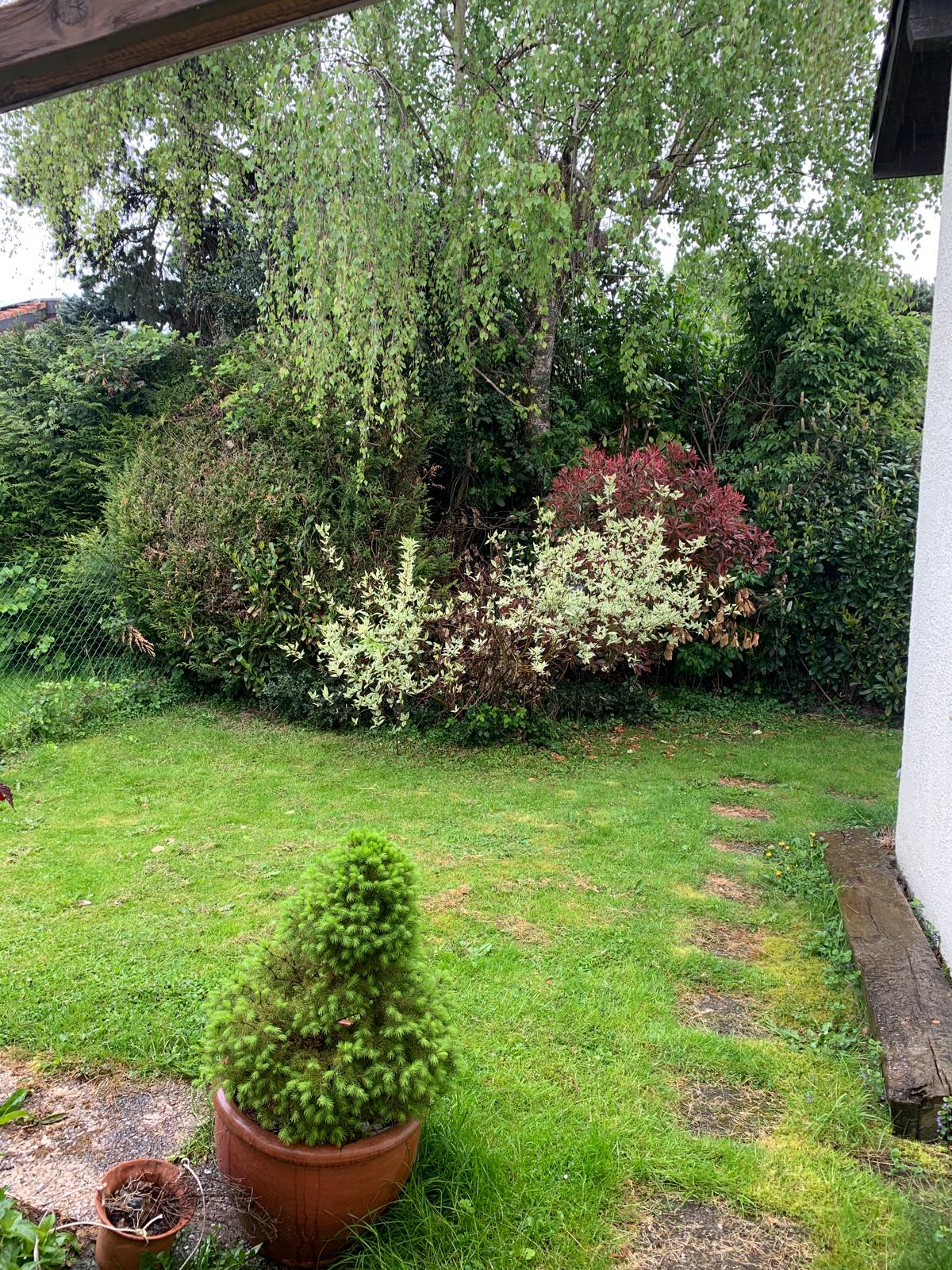 Homestay Assens 406847