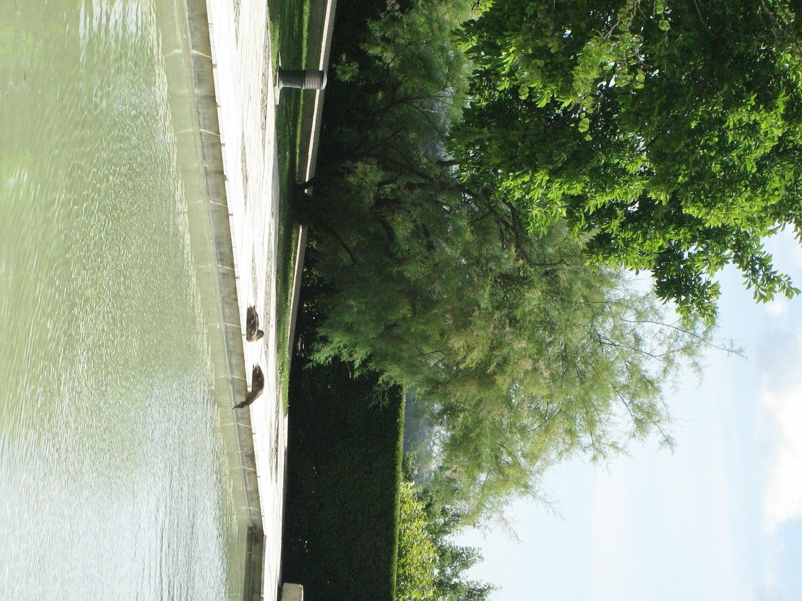 Homestay Saint-Cloud 121059