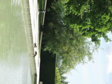 Homestay Saint-Cloud 121059-6