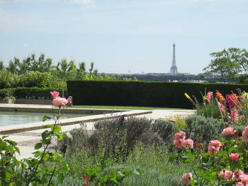 Homestay Saint-Cloud 121059-7