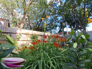 Gastgezin Montréal 238660-4