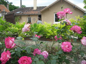 Chambre Chez L'habitant Le Pêchereau 234974-7