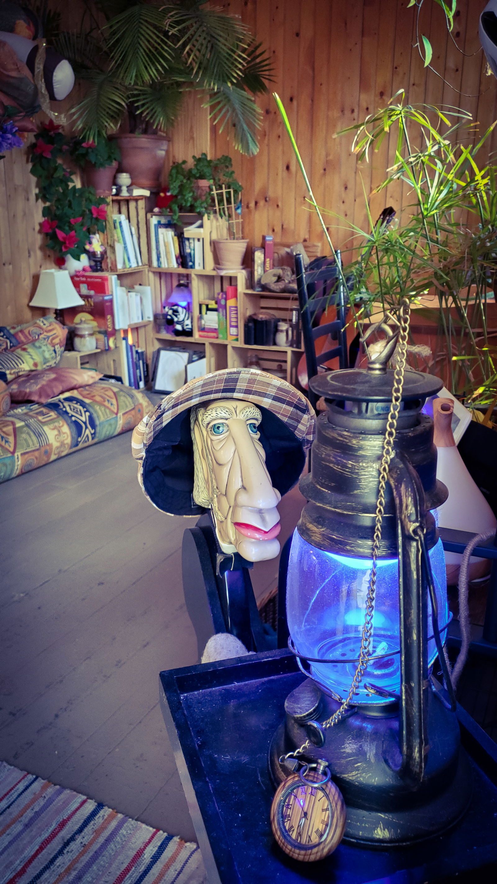 Homestay Lévis 268498