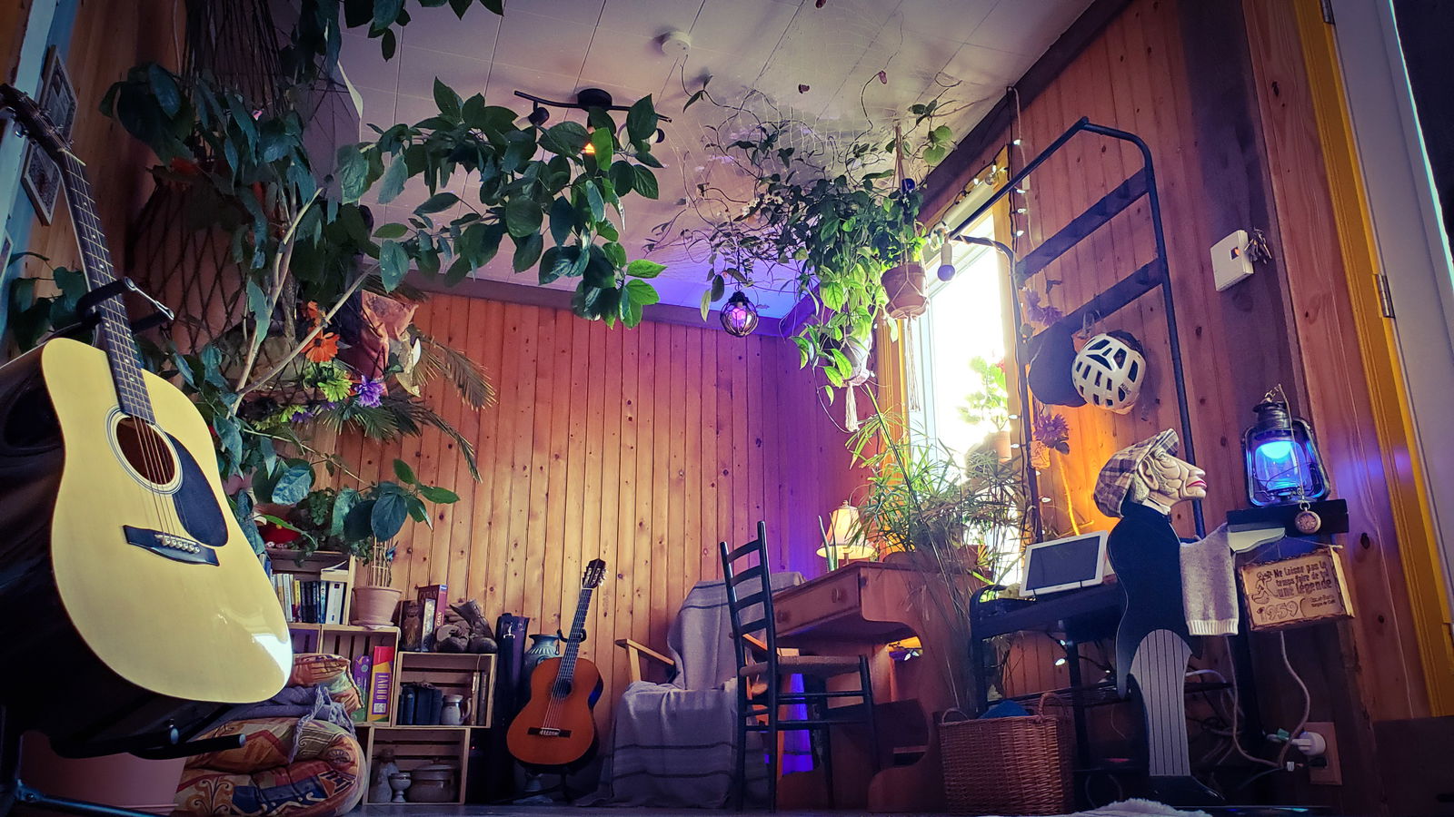 Homestay Lévis 268498