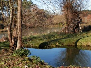 Room For Rent Saint-Méard-De-Gurçon 262105