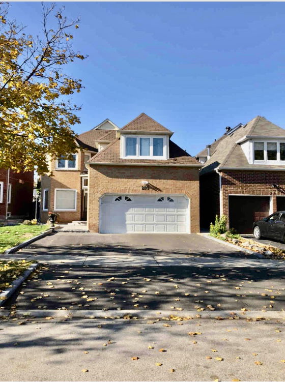 Homestay Mississauga 634897