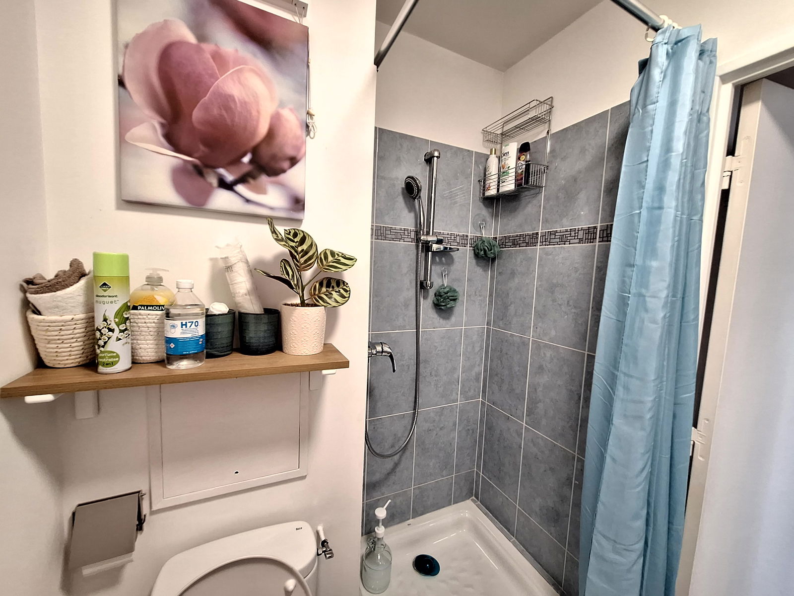 Colocation Colombes 418908