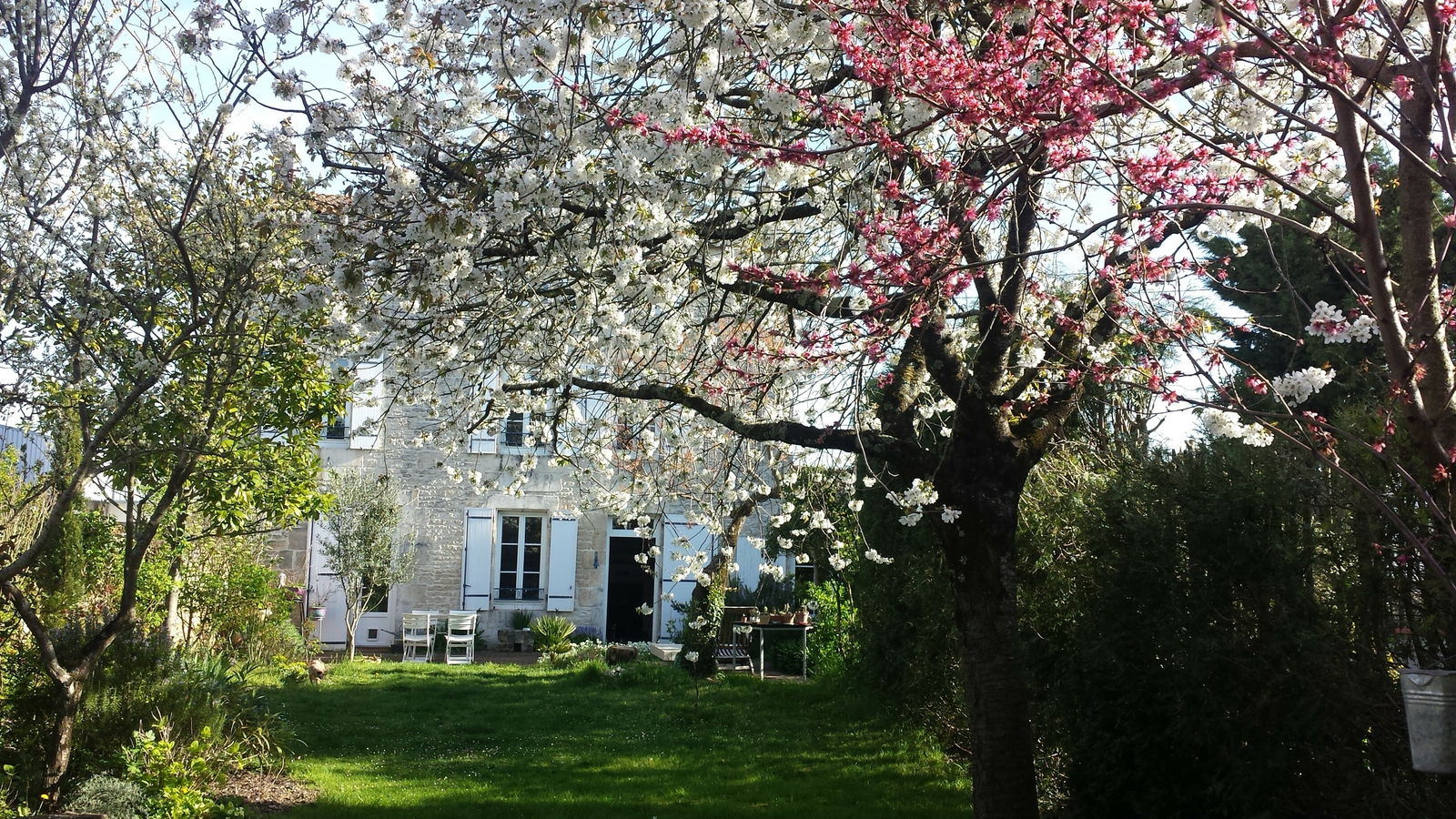 Homestay Niort 167274