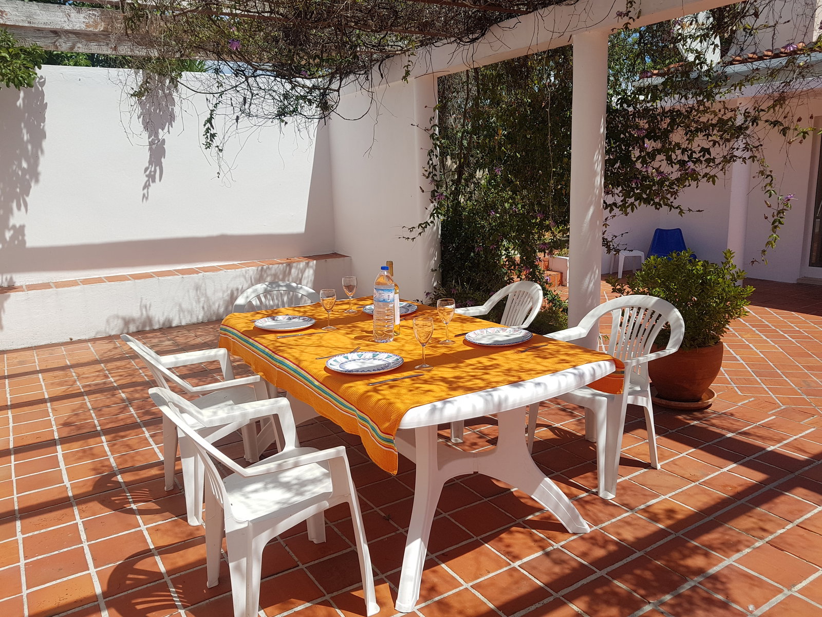 Toda La Casa Santarém 239205