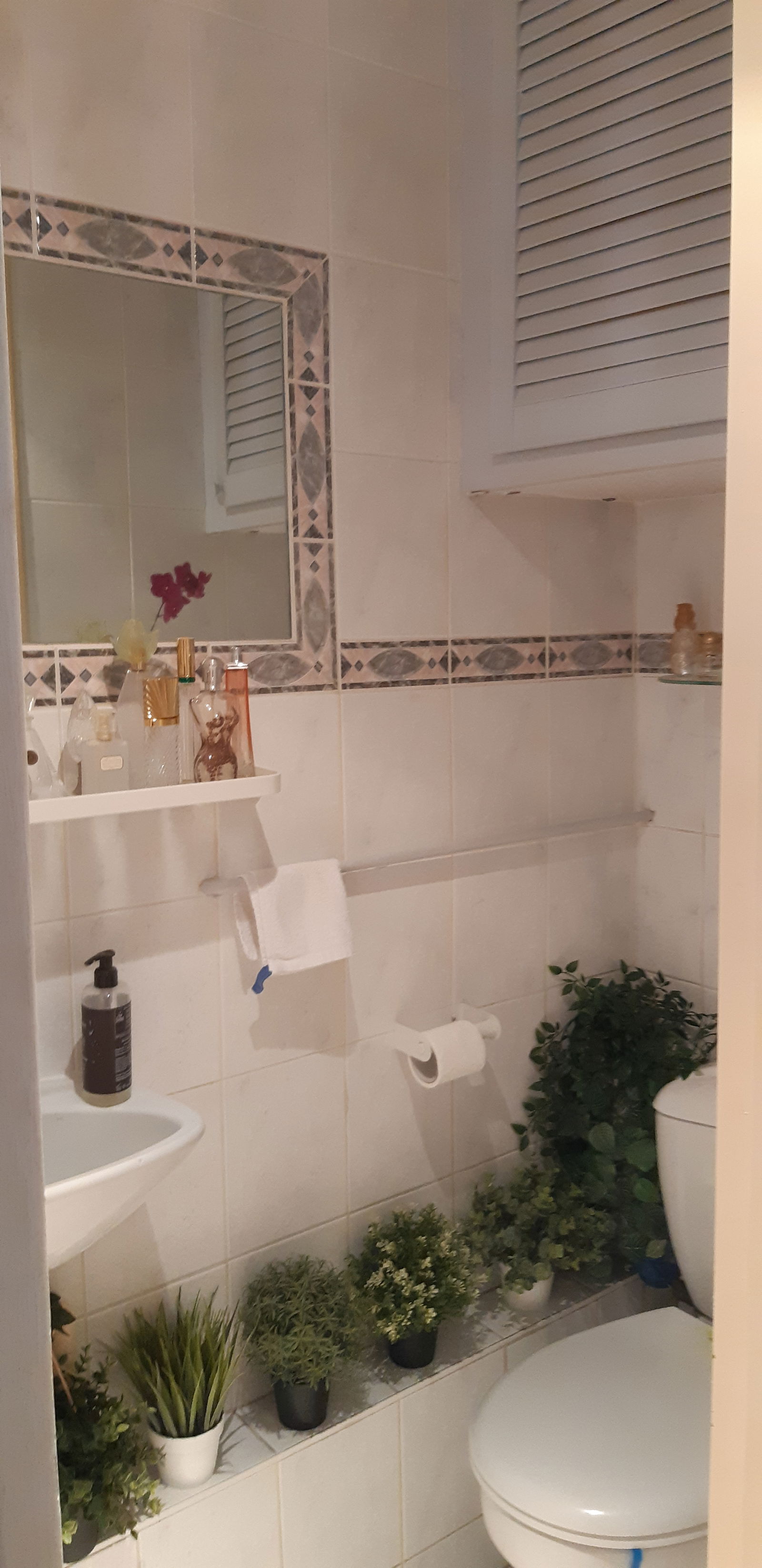 Homestay Illkirch-Graffenstaden 268415