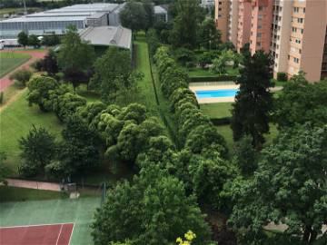 Colocation Toulouse 241154-5