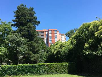 Colocation Toulouse 241154-6