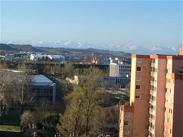 Colocation Toulouse 241154-7