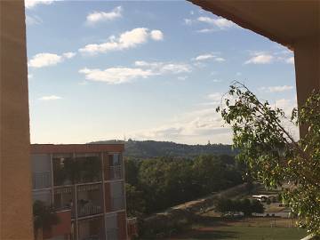 Colocation Toulouse 241154-8