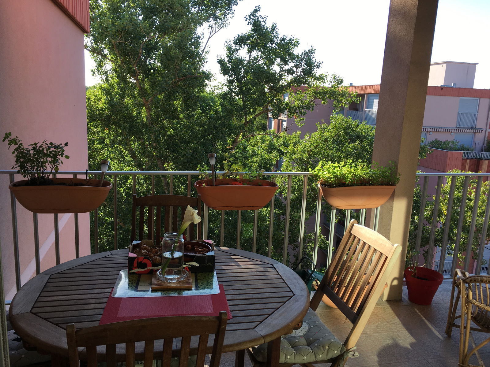 Colocation Toulouse 241154