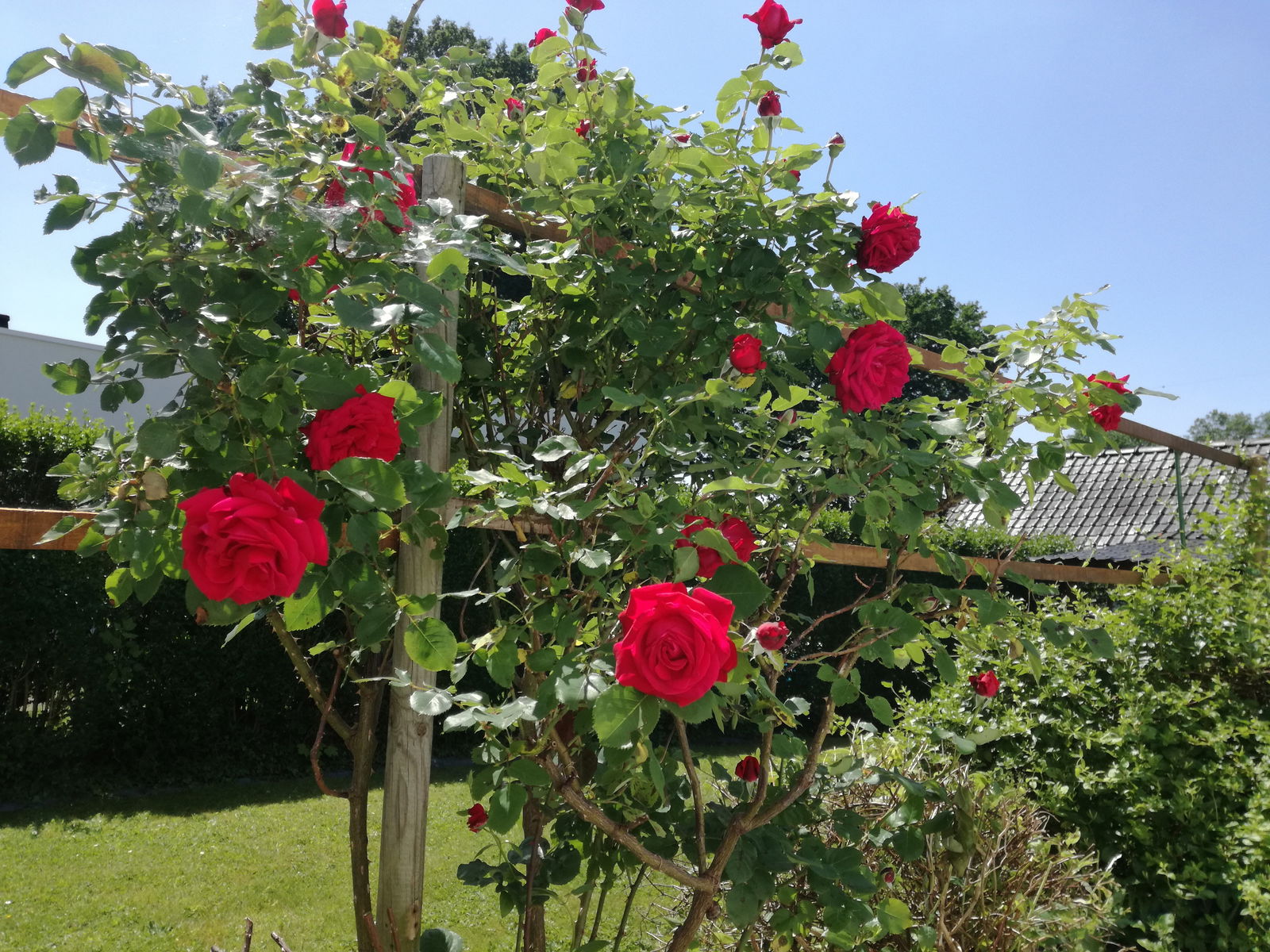 Homestay Neupré 282875