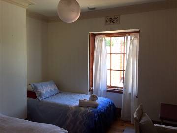 Room For Rent Glen Huntly 267933