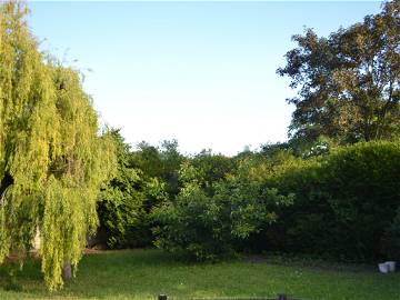 Chambre À Louer Argenteuil 304083