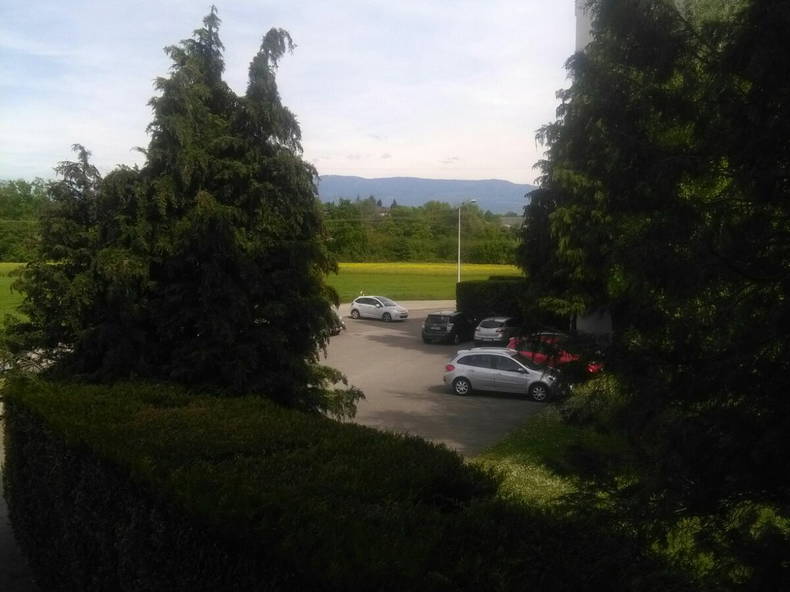 Homestay Ferney-Voltaire 212231-5