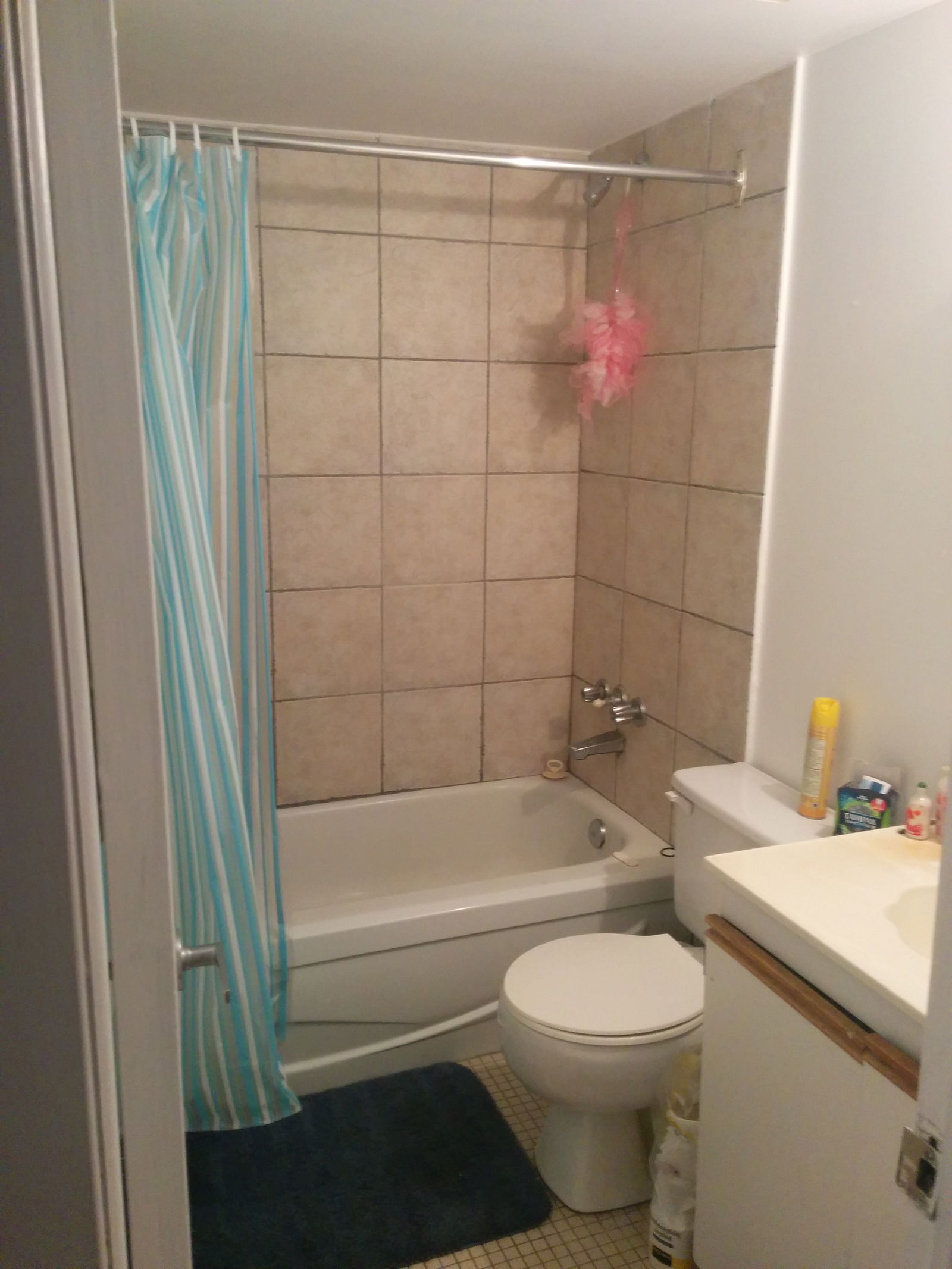 Homestay Montréal 117510