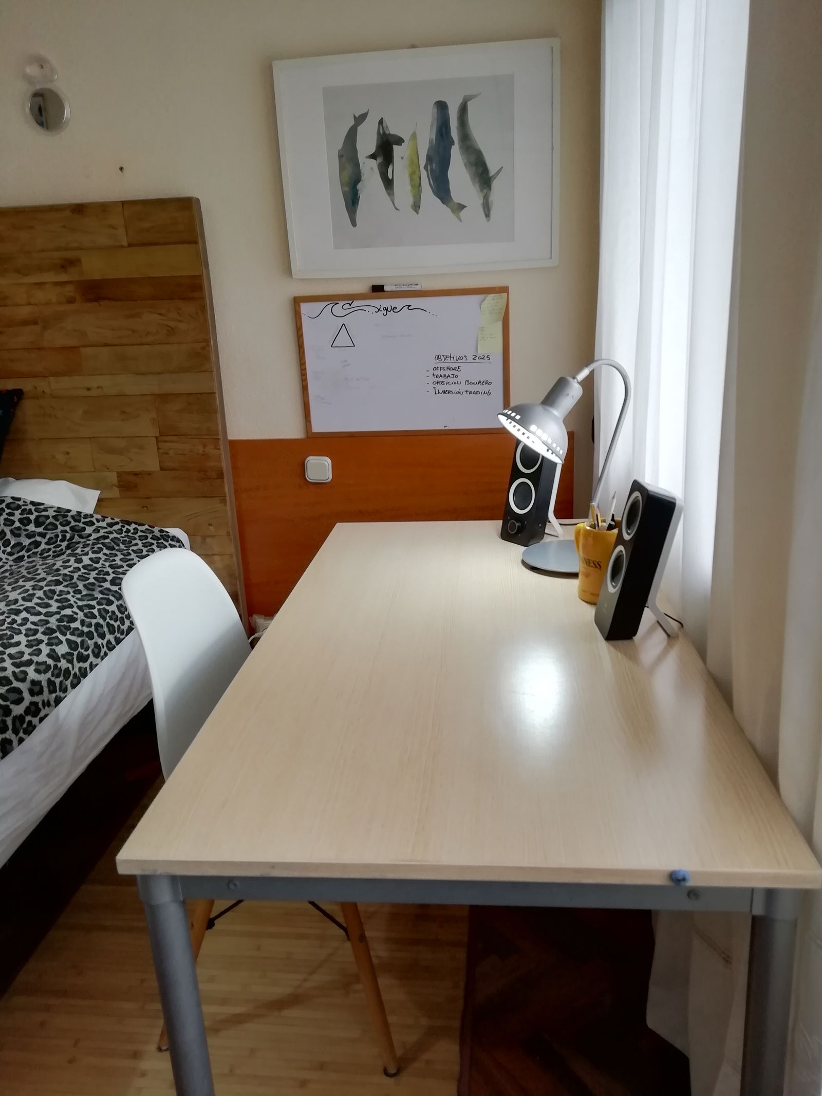 Homestay Donostia 226314
