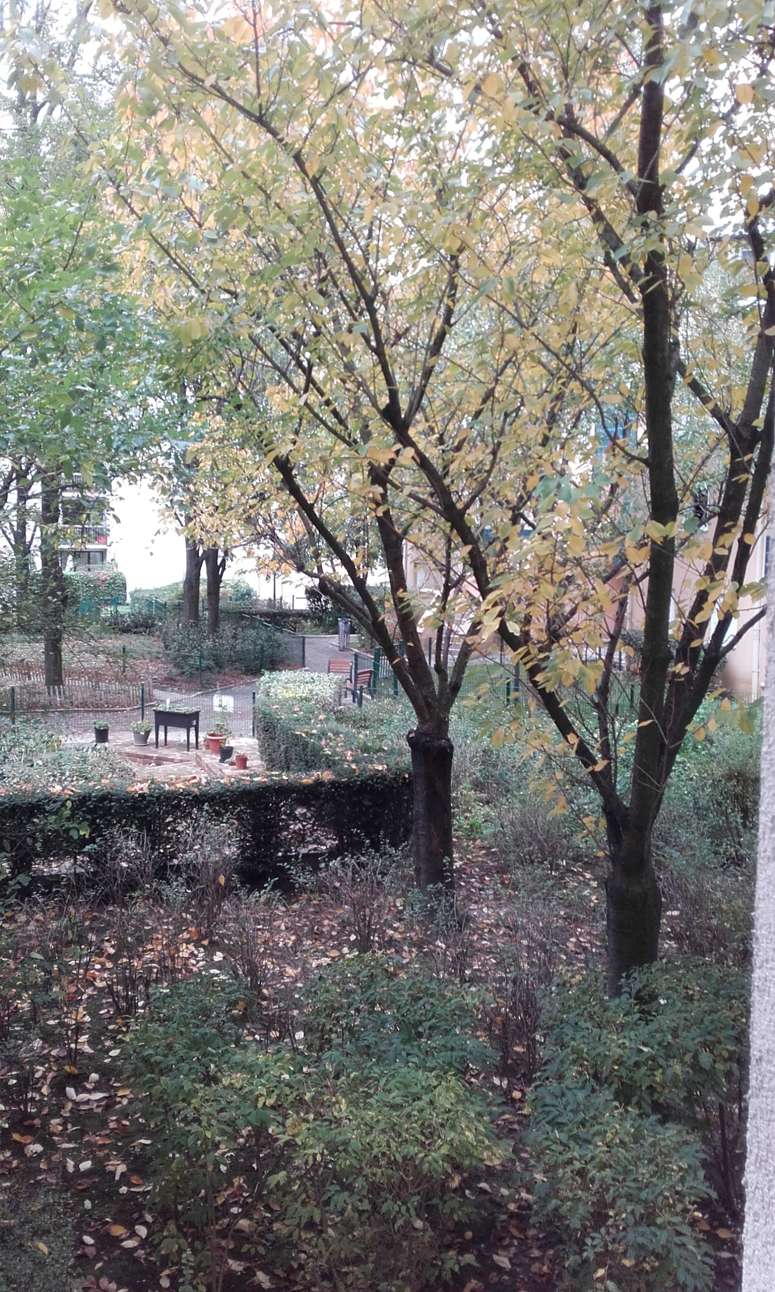 Homestay Vanves 552229