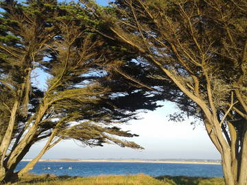 Chambre Chez L'habitant Pont-L'abbé 164411-7