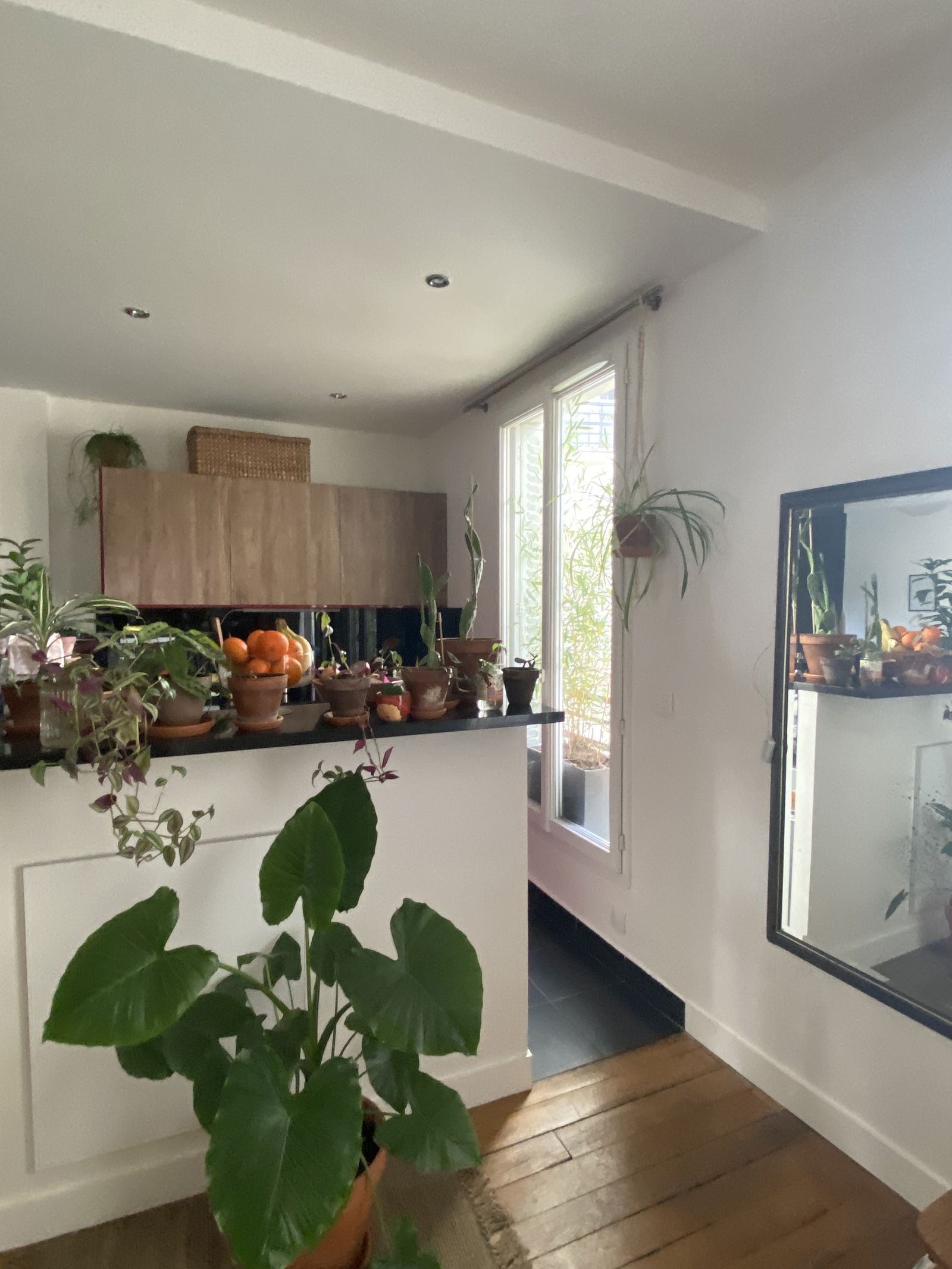 Homestay Paris 261546