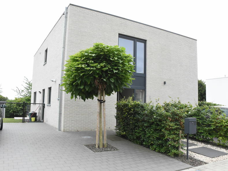 Quedarse En Casa Tienen 248624-1