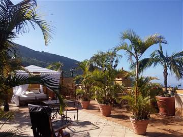 Logement Entier Icod De Los Vinos 172022-4