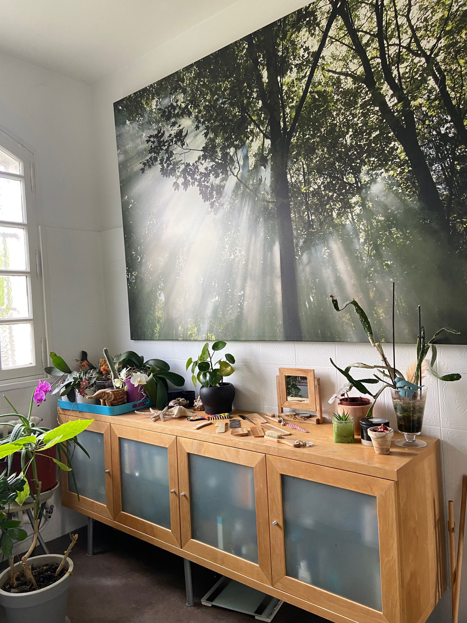 Homestay Aix-en-Provence 82156