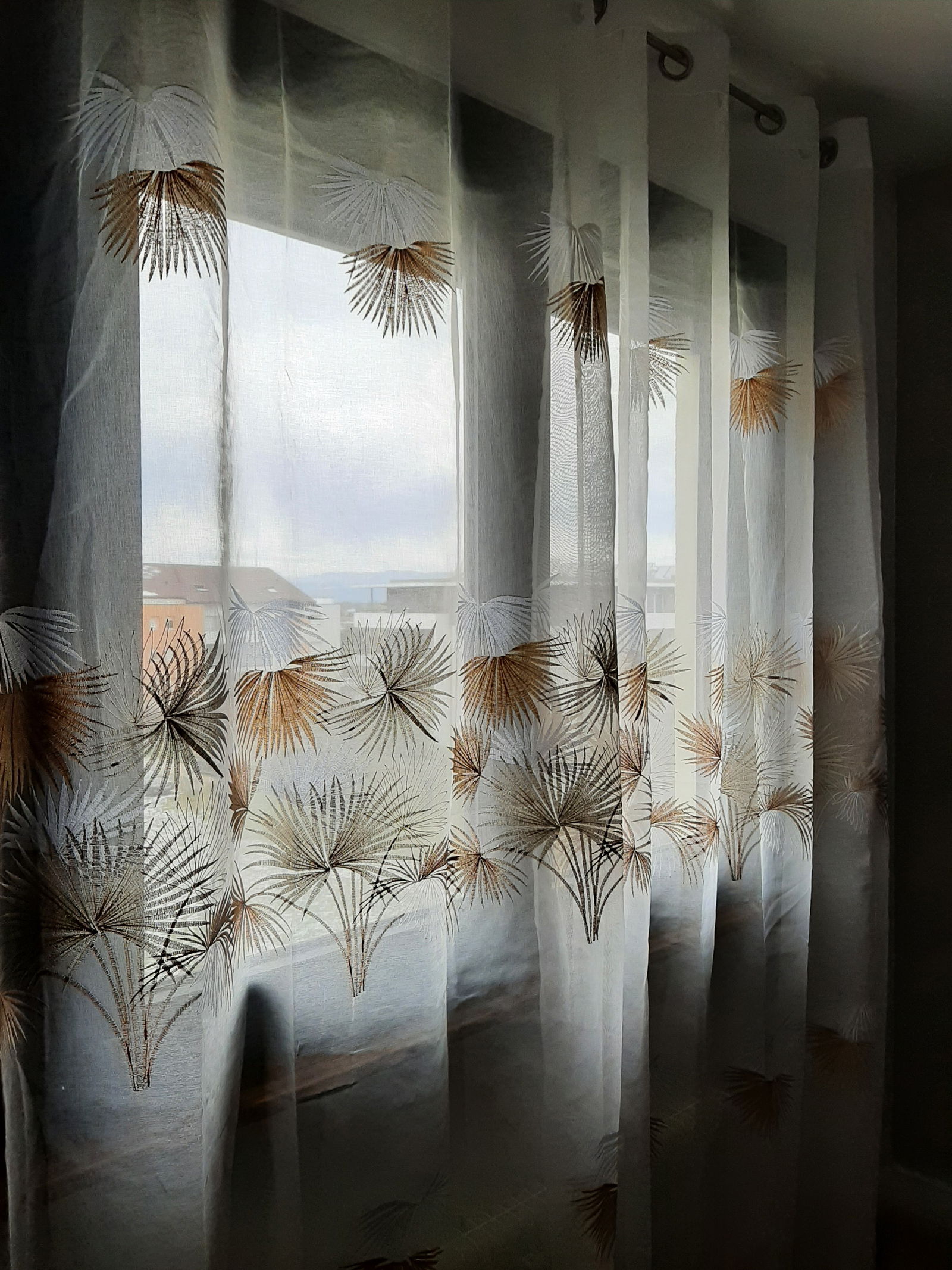 Colocation Annemasse 245876