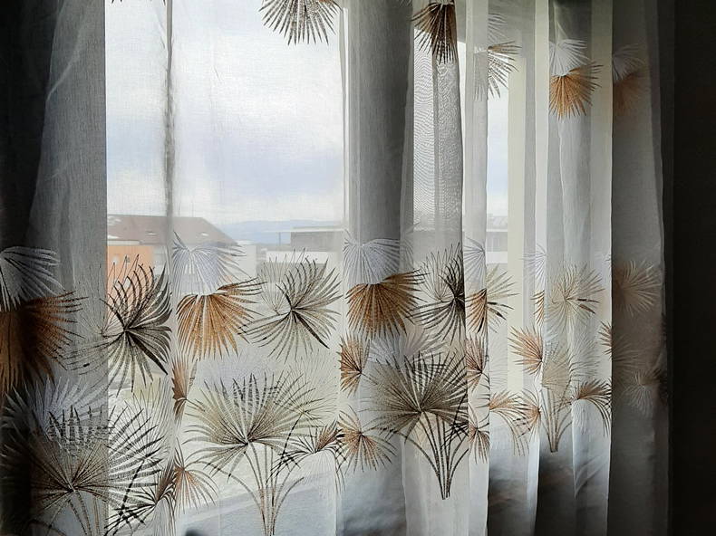 Colocation Annemasse 245876-3