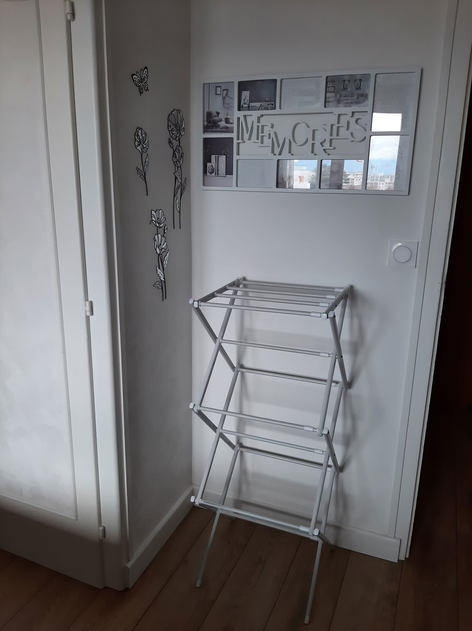 Colocation Annemasse 245876