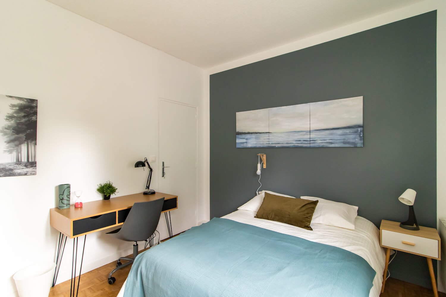 Colocation Grenoble 264746