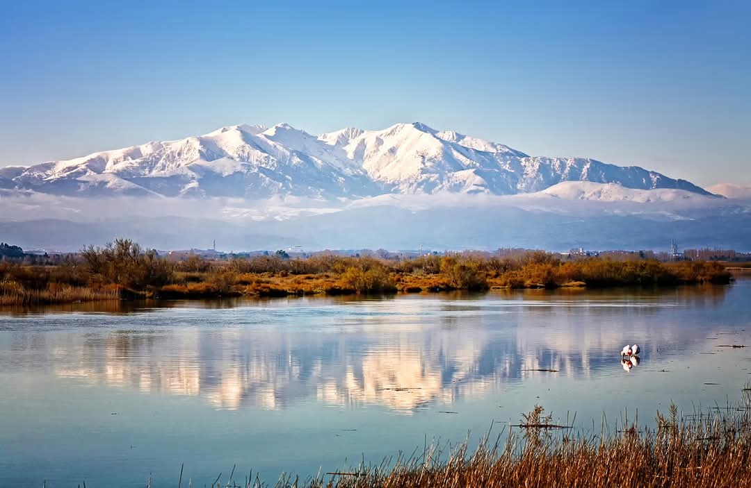 Colocation Perpignan 15132