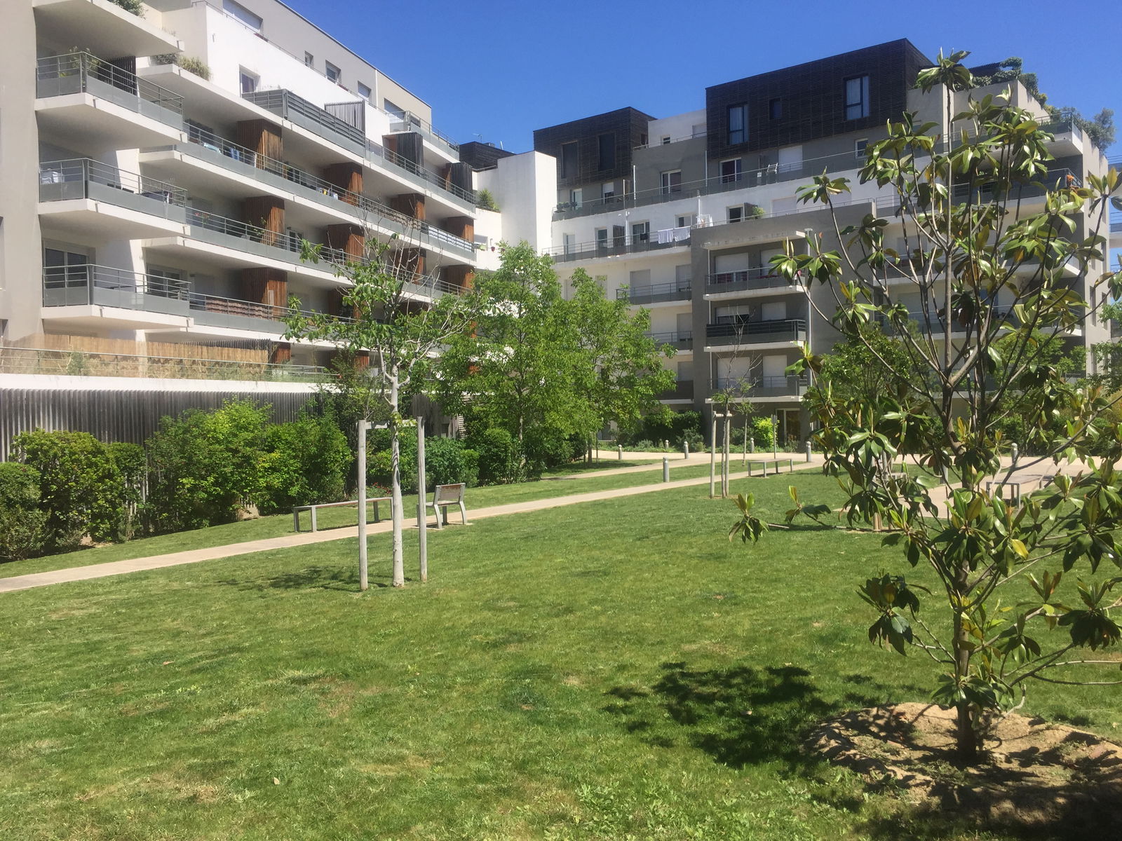 Homestay Montpellier 363430